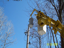 pole truck
