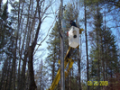 pole truck