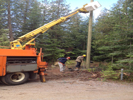 pole truck